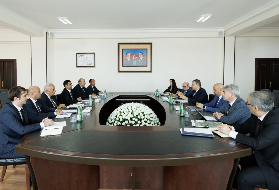 Naxçıvanda yaxın gələcəkdə mədən layihələri istismara&nbsp;veriləcək