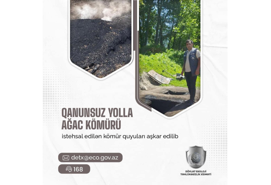 Qanunsuz yolla ağac kömürü istehsal edilən quyular&nbsp;aşkarlanıb