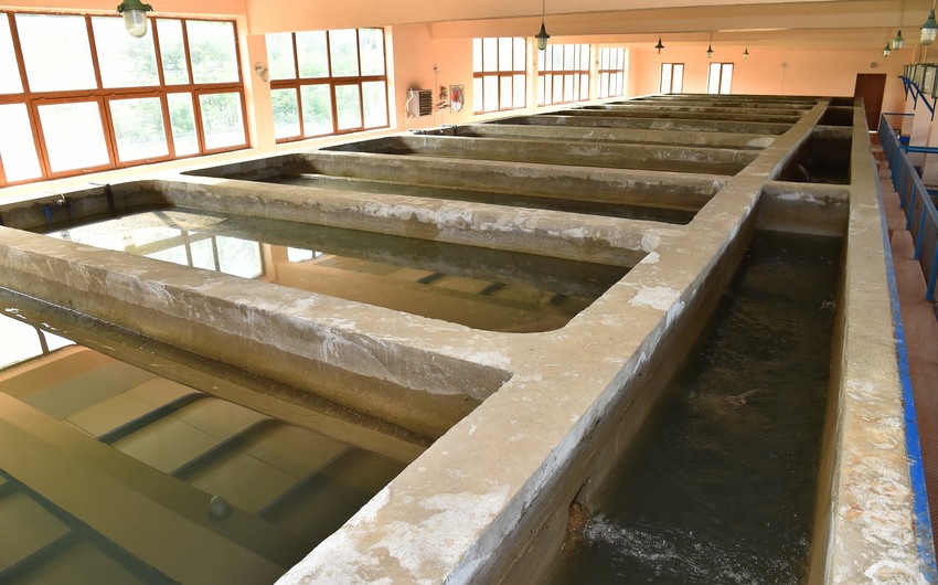 Xankəndidə su təsərrüfatı bərpa&nbsp;olunub