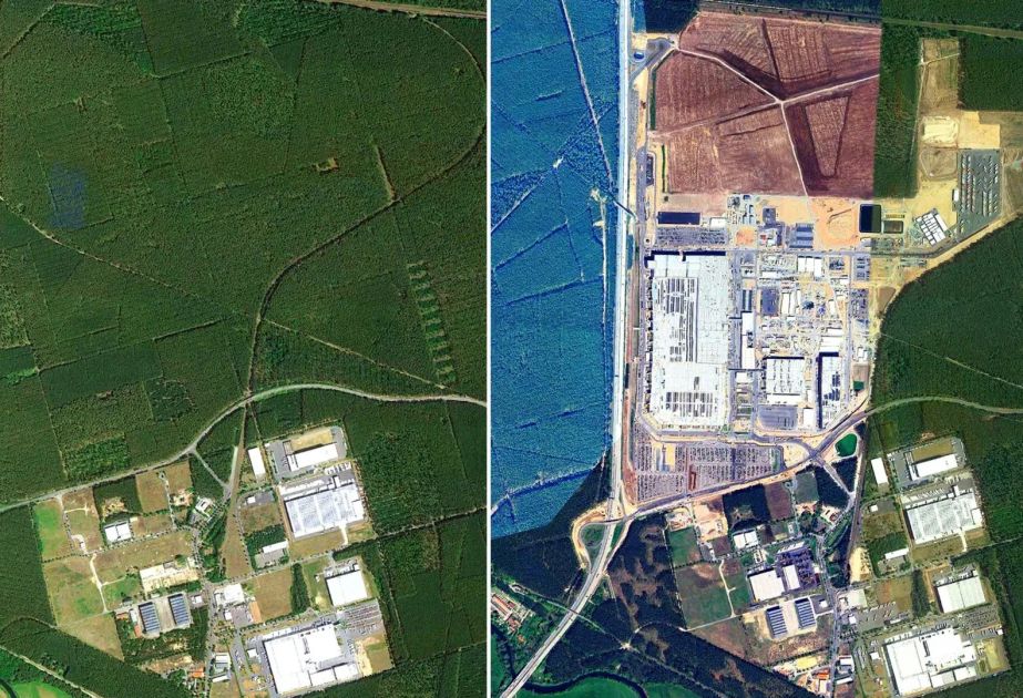 “Tesla”nın zavodunun tikildiyi sahədə 500 minə yaxın ağac&nbsp;kəsilib