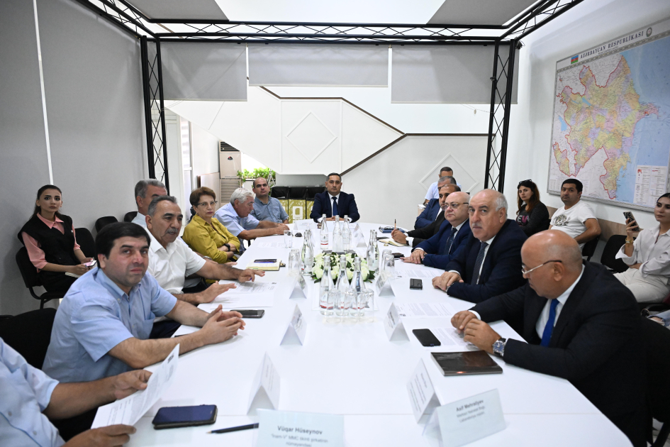 Bakıda problem yaradan yabanı ağacların götürülməsi&nbsp;asanlaşdırılıb