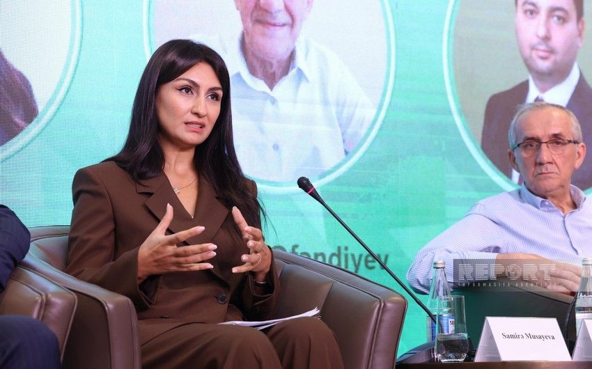 Bakıda karbon qiymətləndirilməsi üzrə beynəlxalq konfrans&nbsp;keçiriləcək