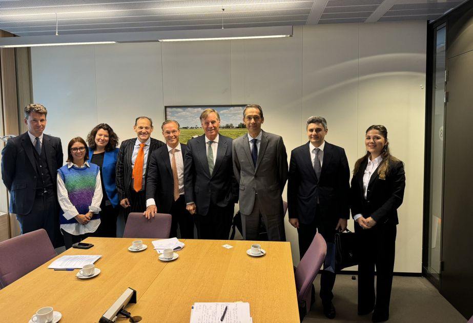 Azərbaycanın Niderlanddakı səfiri iqlim layihələrini dəstəkləyən özəl fondun direktoru ilə&nbsp;görüşüb