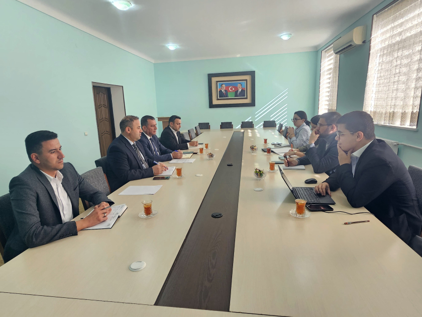 BCG Naxçıvanın “Yaşıl enerji” Konsepsiyasını&nbsp;hazırlayacaq