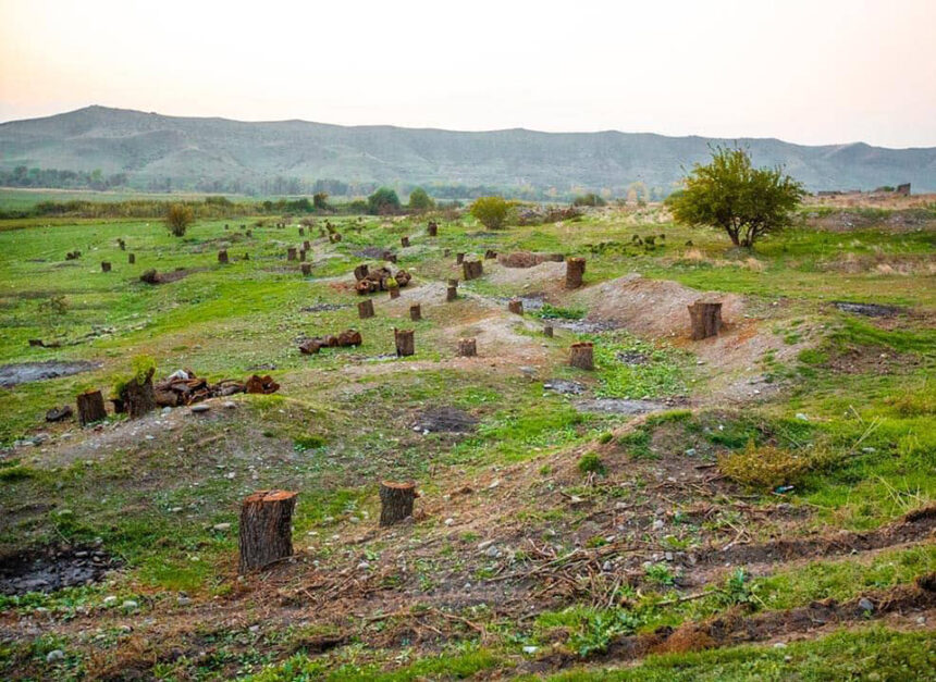 Cinayət Məcəlləsinə “Ekosid” anlayışı əlavə&nbsp;edilir