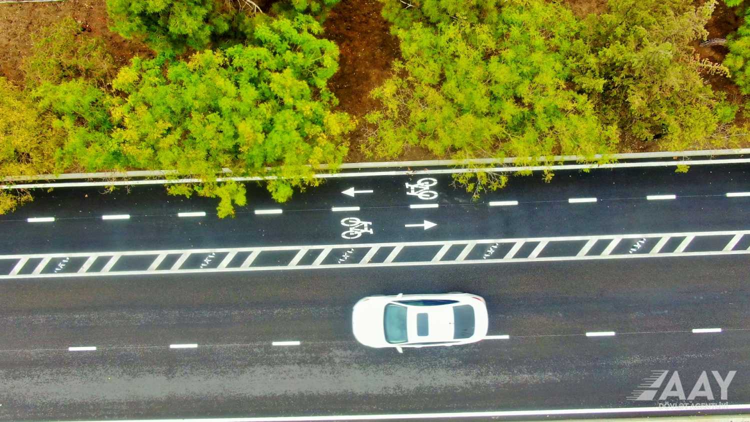 Mətbuat prospektində aparılan təmir işləri başa çatıb&nbsp;VİDEO