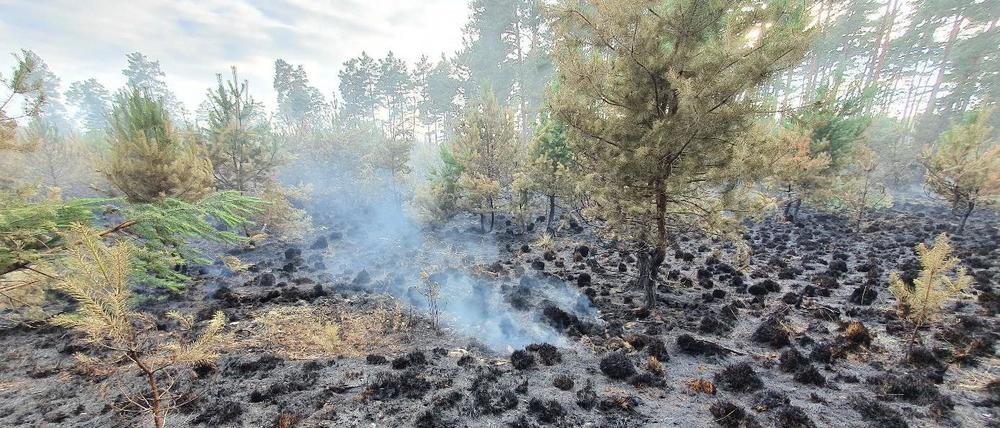 Şəkinin Baş Şabalıd kəndində baş verən yanğın&nbsp;söndürülüb