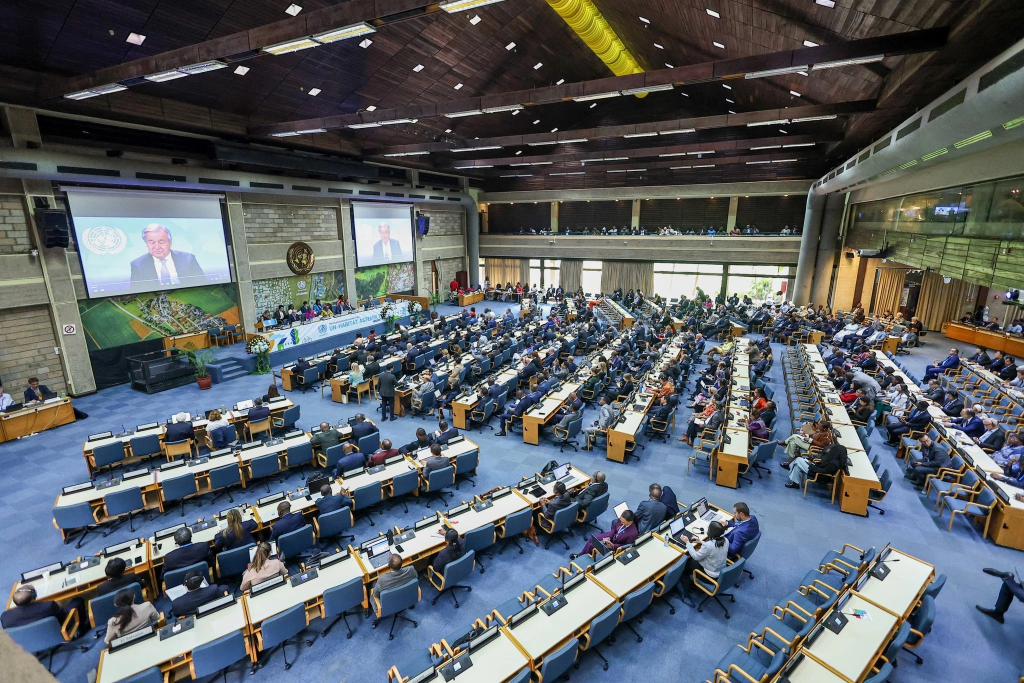 Birləşmiş Millətlər Təşkilatının Məskunlaşma Proqramının (UN-Habitat) Assamblesyasının İkinci Sessiyası