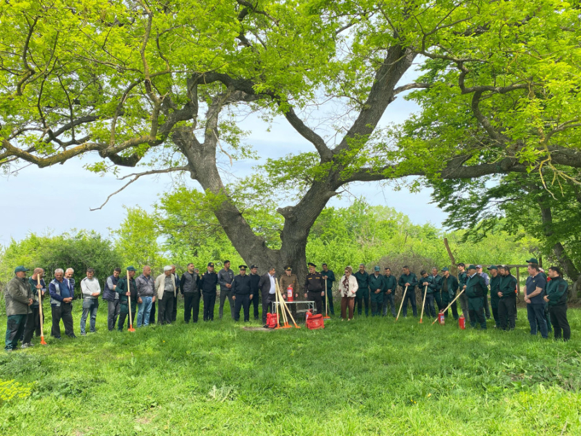 FHN meşələrin yanğın təhlükəsizliyinə dair silsilə maarifləndirmə tədbirləri&nbsp;keçirib